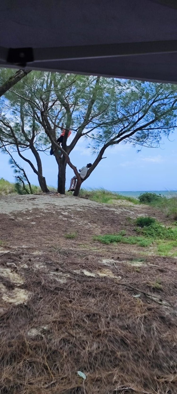 É dezembro.... As Férias chegaram!